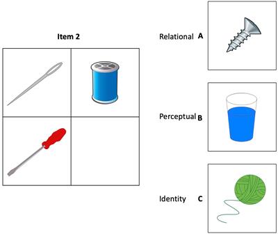 Measuring the building blocks of everyday cognition: executive functions and relational reasoning